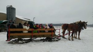 sleigh rides for groups